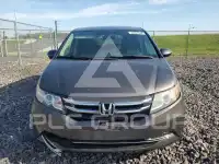 2017 Honda ODYSSEY photo