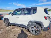 2017 Jeep Renegade фото