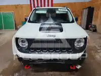 2017 Jeep Renegade photo