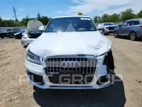 2017 Audi Q5 фото