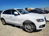 2017 Audi Q5 photo