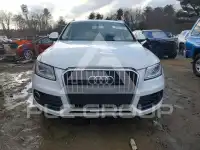 2017 Audi Q5 photo
