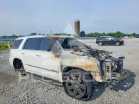 2017 Cadillac ESCALADE фото