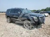 2017 Cadillac ESCALADE photo