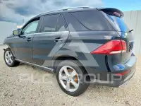 2017 Mercedes Benz GLE-Class фото