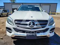 2017 Mercedes Benz GLE-Class фото