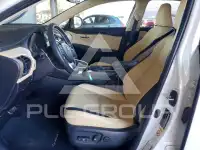 2017 Lexus NX photo