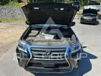 2017 Lexus GX photo