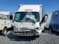2017 Isuzu NQR фото