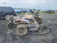 2017 Can-AM Atv фото