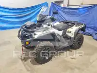 2017 Can-AM Atv photo