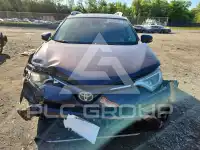 2017 Toyota RAV4 photo