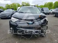 2017 Toyota RAV4 фото