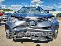 2017 Toyota RAV4 фото