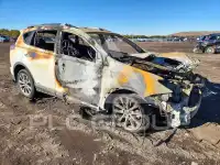 2017 Toyota RAV4 photo