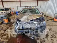 2017 Toyota COROLLA photo