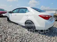 2017 Toyota COROLLA photo