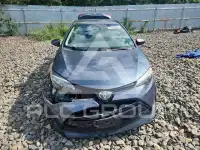 2017 Toyota COROLLA photo