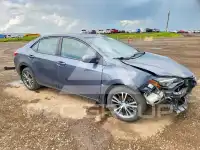 2017 Toyota COROLLA фото