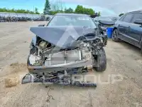 2017 Toyota COROLLA photo
