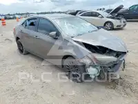 2017 Toyota COROLLA photo