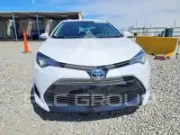 2017 Toyota COROLLA photo