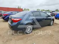2017 Toyota COROLLA photo