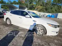 2017 KIA Optima фото