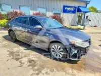 2017 KIA Optima photo