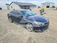 2017 KIA Optima фото