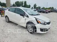 2017 KIA Rio фото