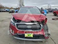 2017 KIA Sorento фото