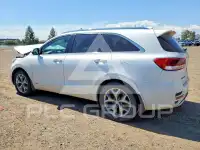 2017 KIA Sorento photo