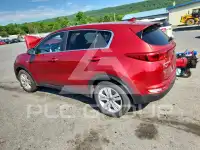 2017 KIA Sportage photo