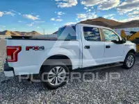 2017 Ford F-150 photo