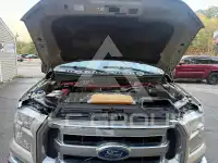 2017 Ford F-150 фото