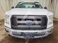 2017 Ford F-150 photo