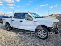 2017 Ford F-150 photo