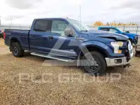 2017 Ford F-150 фото