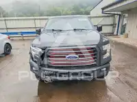 2017 Ford F-150 photo