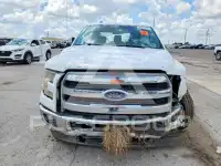 2017 Ford F-150 photo