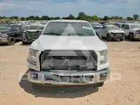 2017 Ford F-150 photo