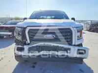 2017 Ford F-150 фото