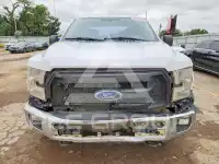 2017 Ford F-150 photo