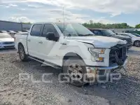2017 Ford F-150 photo