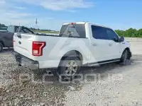 2017 Ford F-150 photo