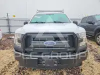 2017 Ford F-150 photo