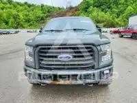 2017 Ford F-150 photo