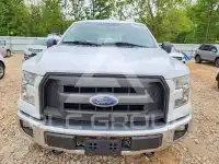 2017 Ford F-150 photo