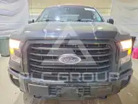 2017 Ford F-150 фото